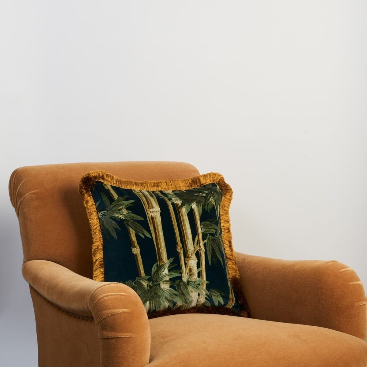 Bambusa Velvet (Medium)