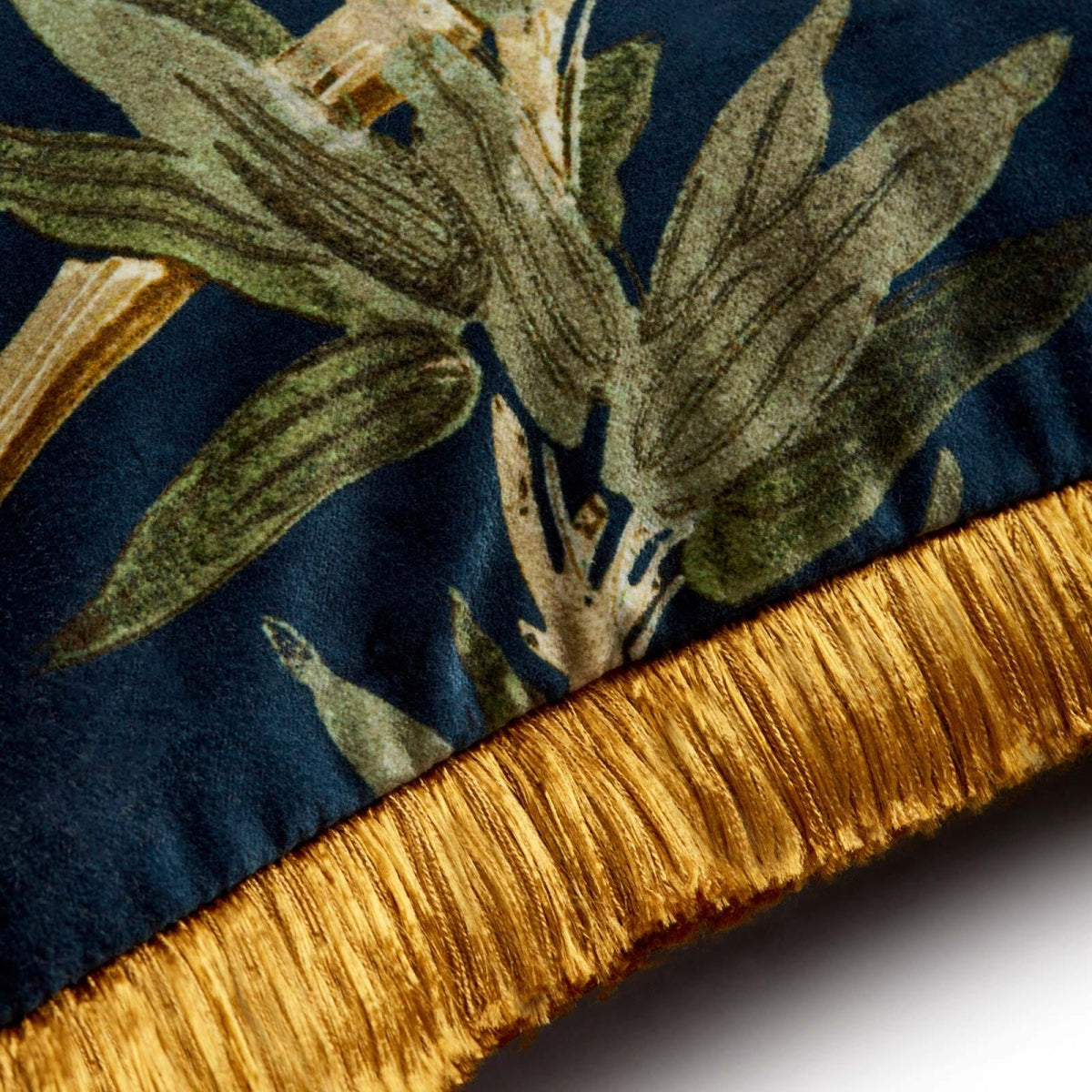 Bambusa Velvet (Medium)