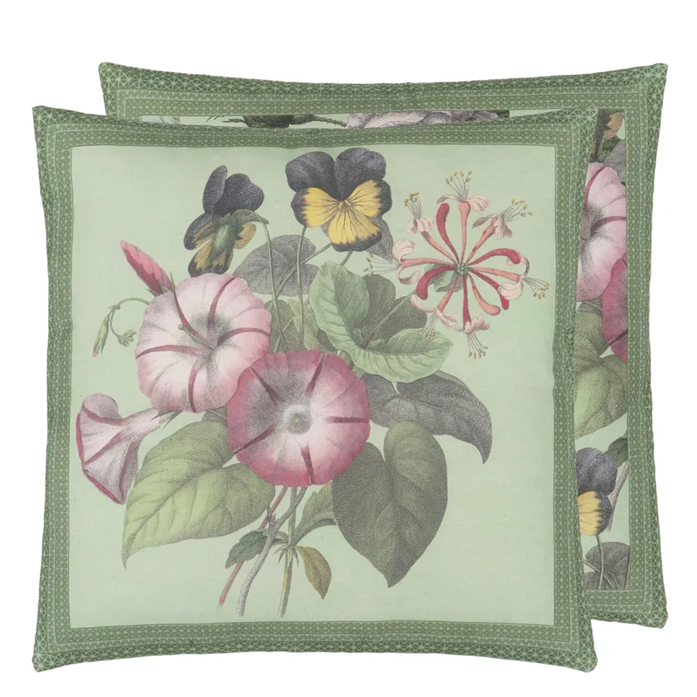 Botany Sage | Botanical Illustrations on Sage Green