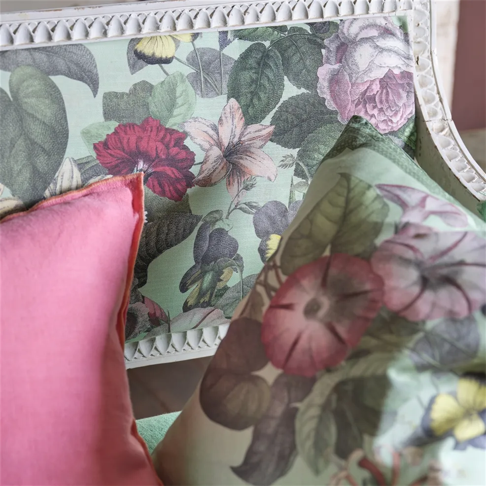 Botany Sage | Botanical Illustrations on Sage Green