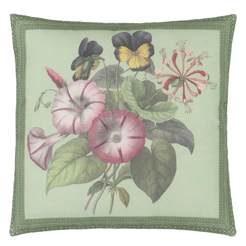 Botany Sage | Botanical Illustrations on Sage Green