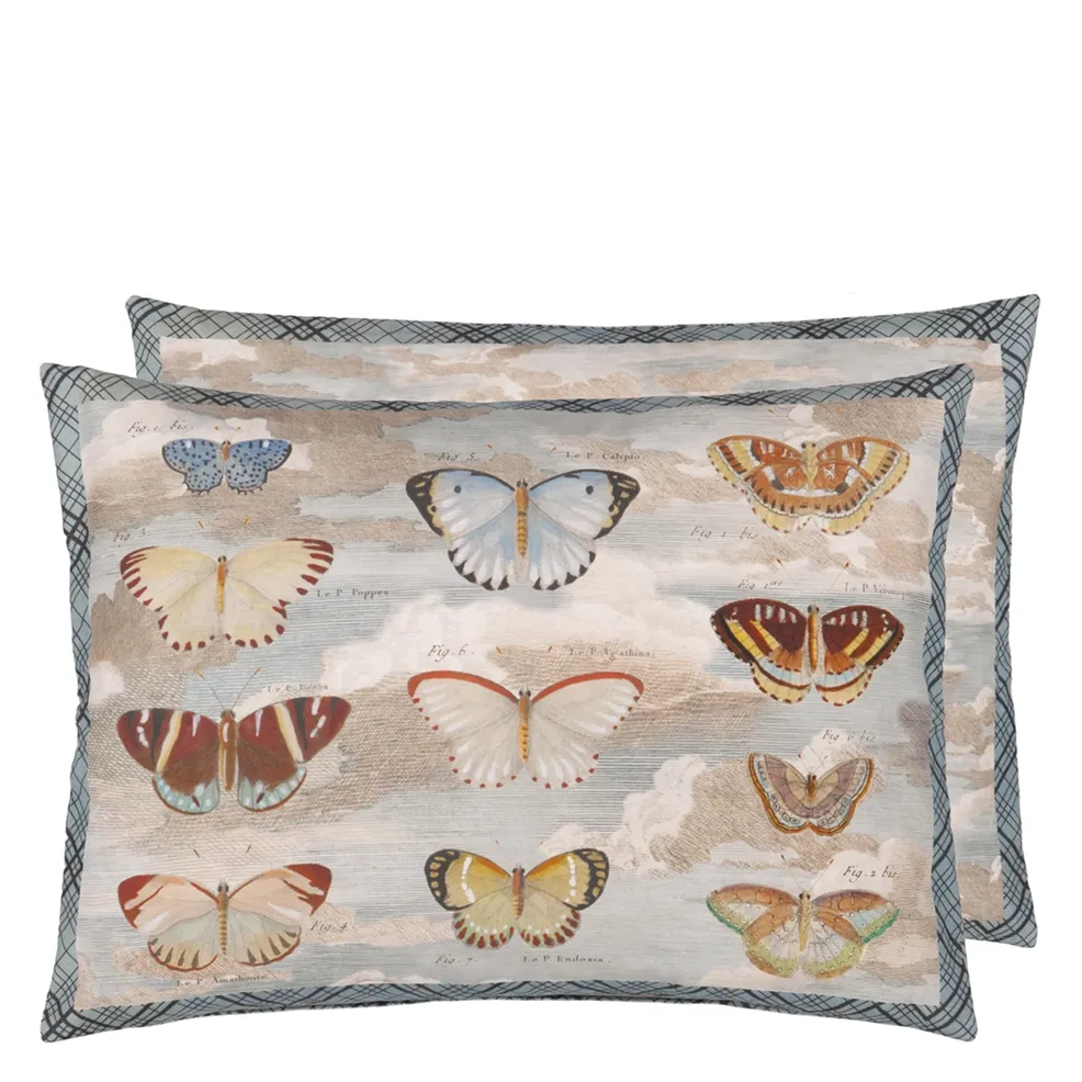 Butterfly Studies | Botanical Illustrations & Cloud Motifs