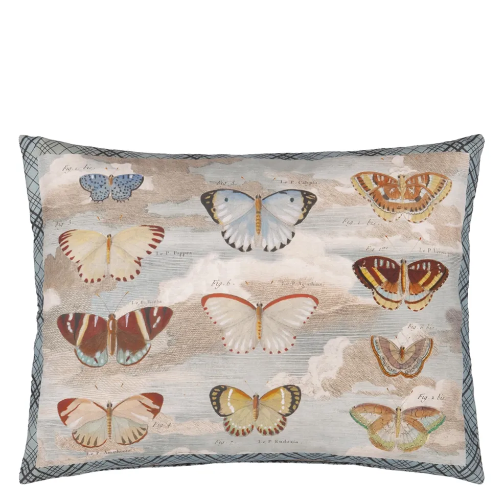 Butterfly Studies | Botanical Illustrations & Cloud Motifs