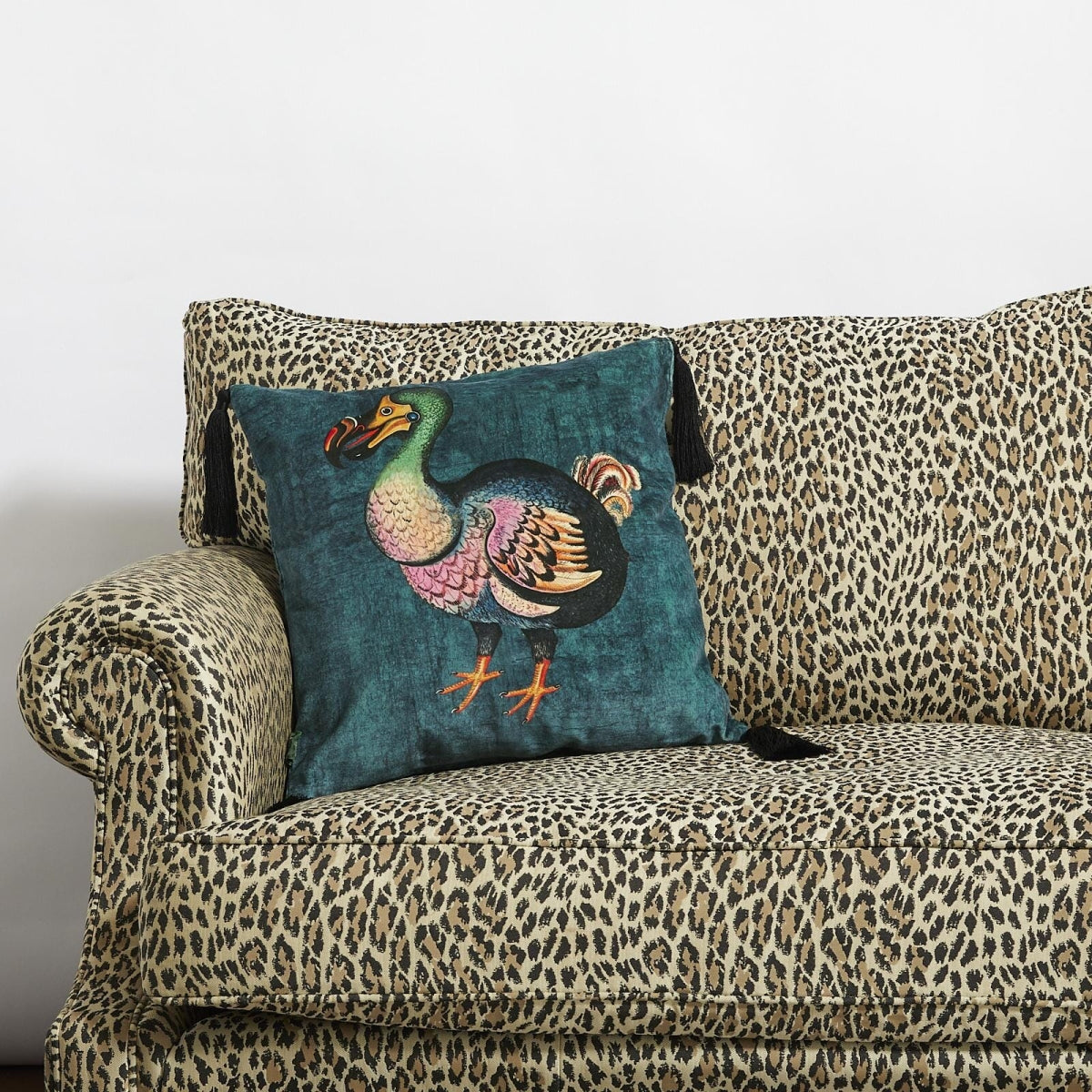 Dodo Velvet (Medium)