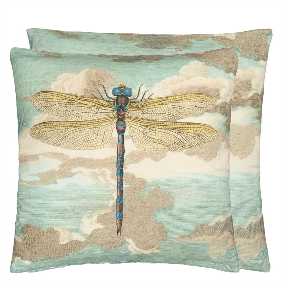 Dragonfly Over Clouds