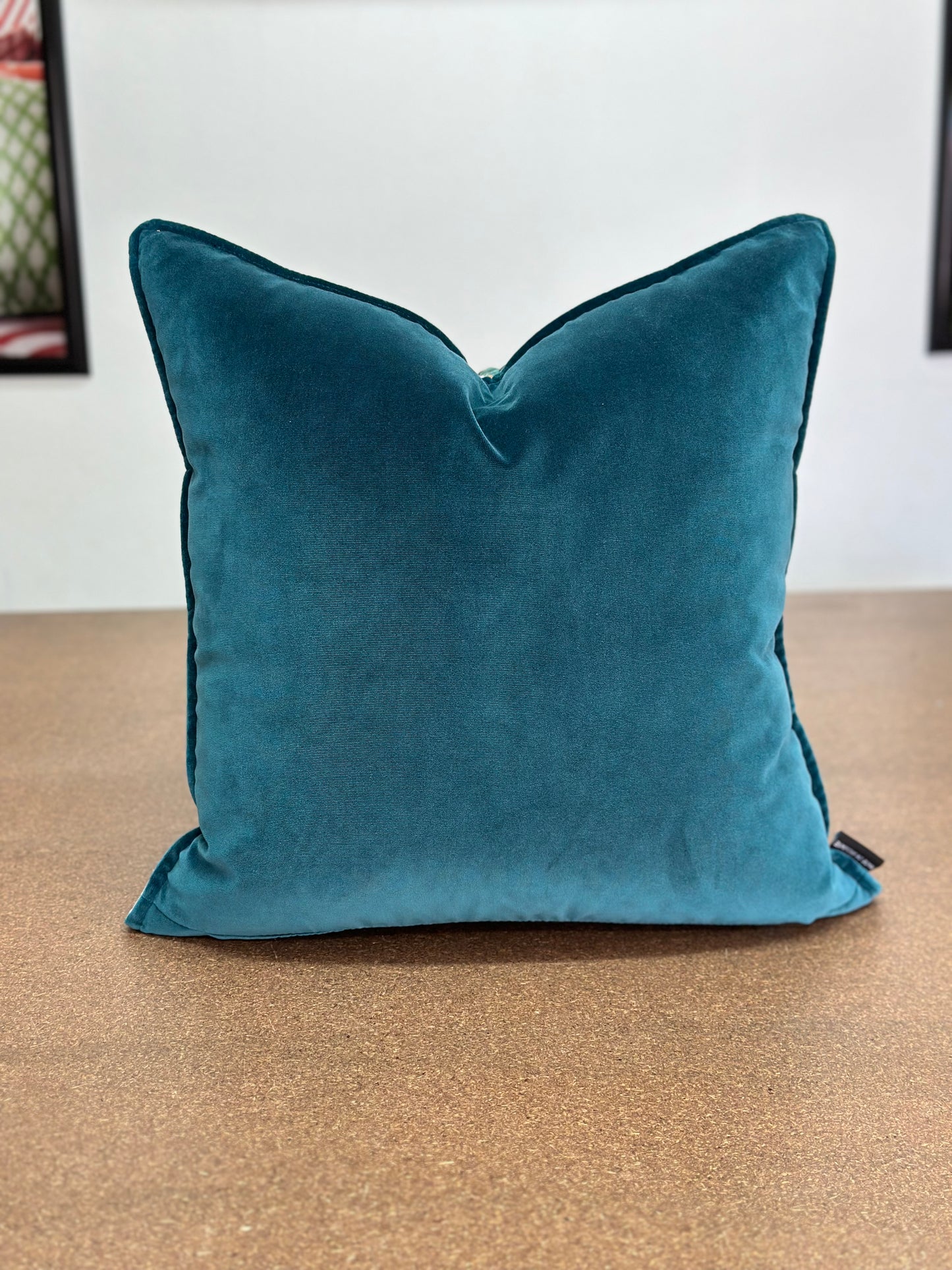 Menagerie Cushion | Velvet Fabric with Teal Velvet Backing