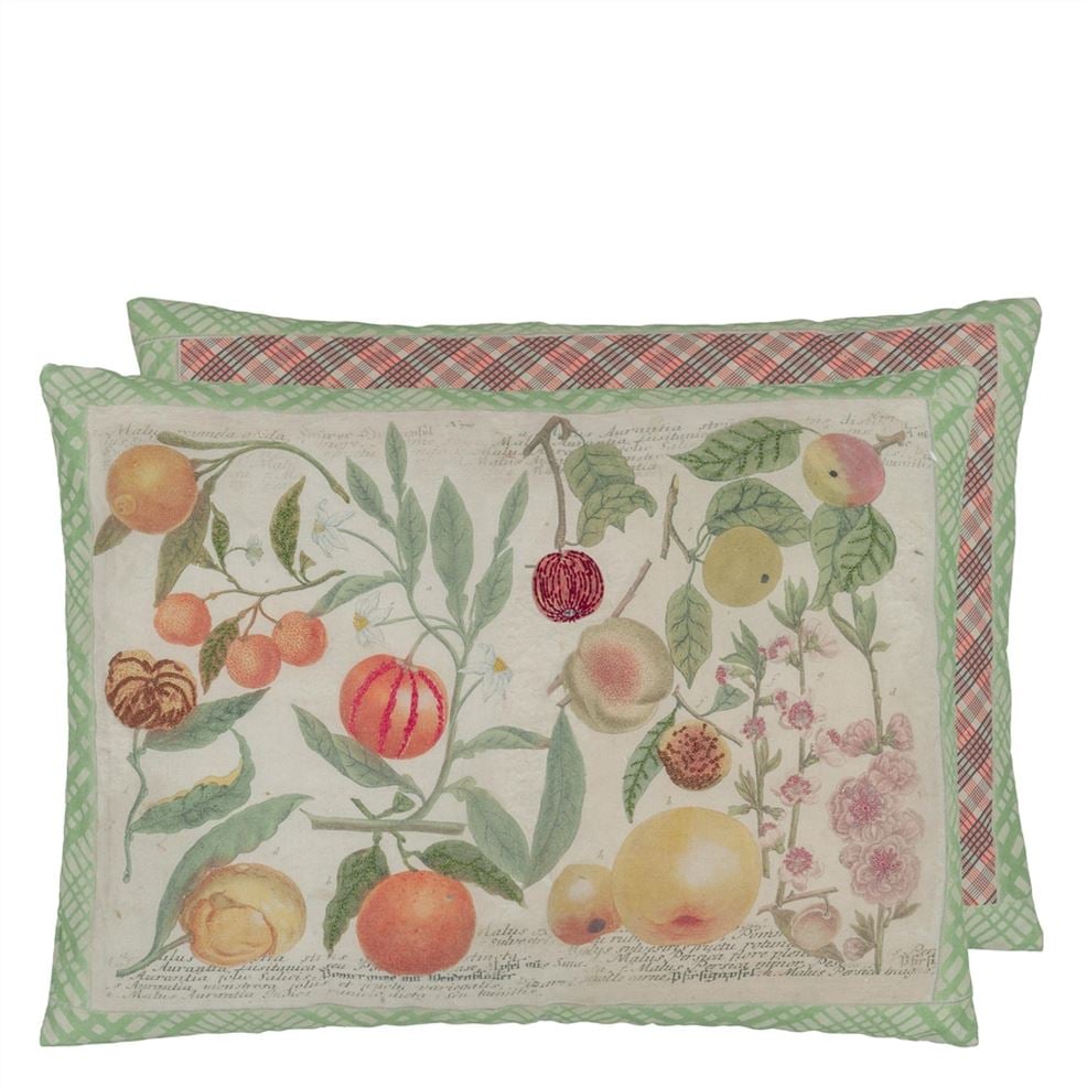 Oranges Canvas