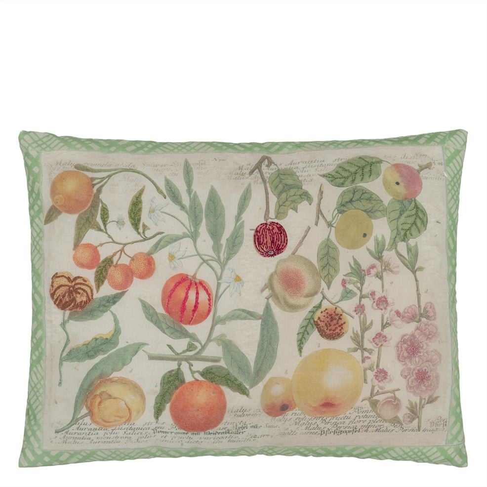 Oranges Canvas