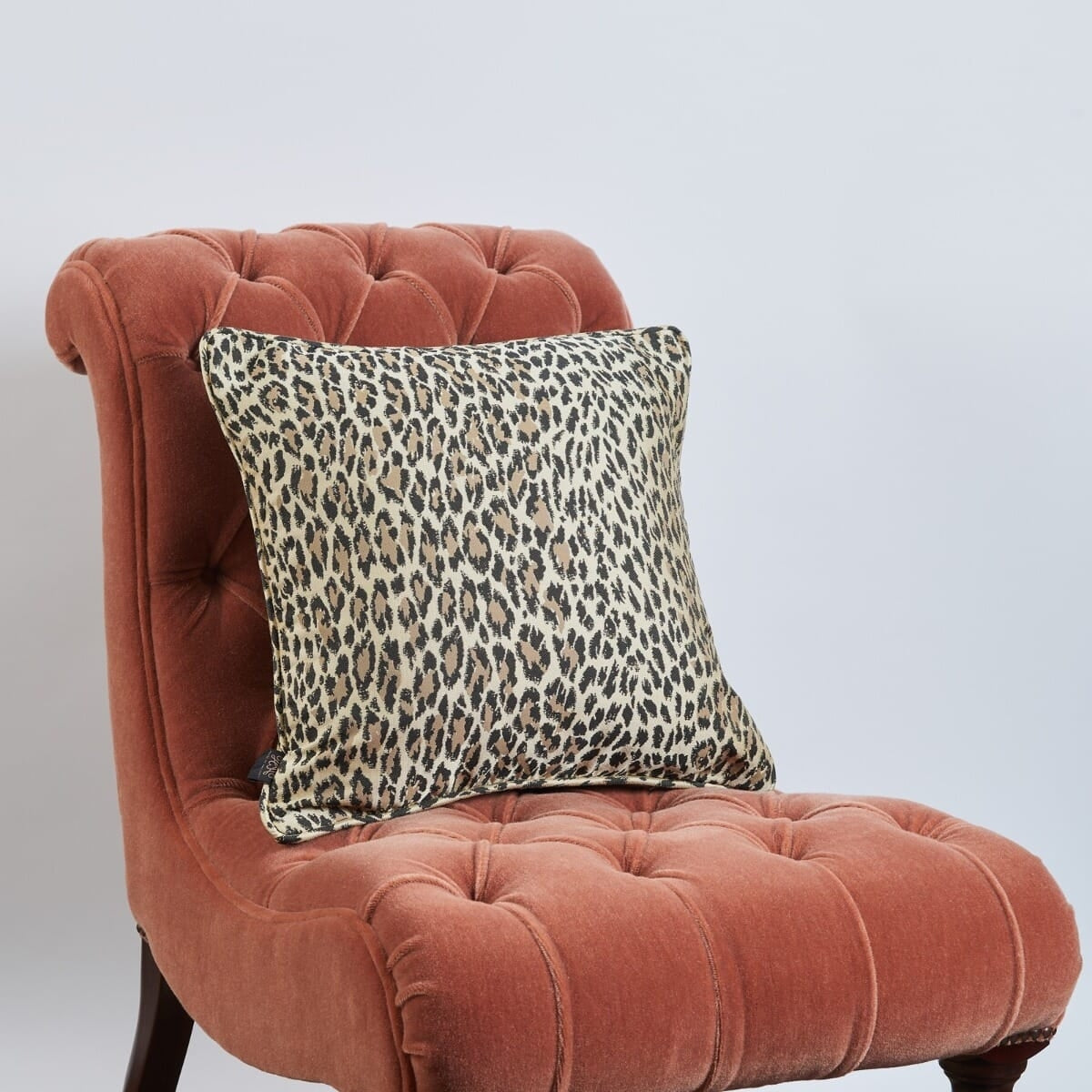 Wild Card Jacquard (Medium)