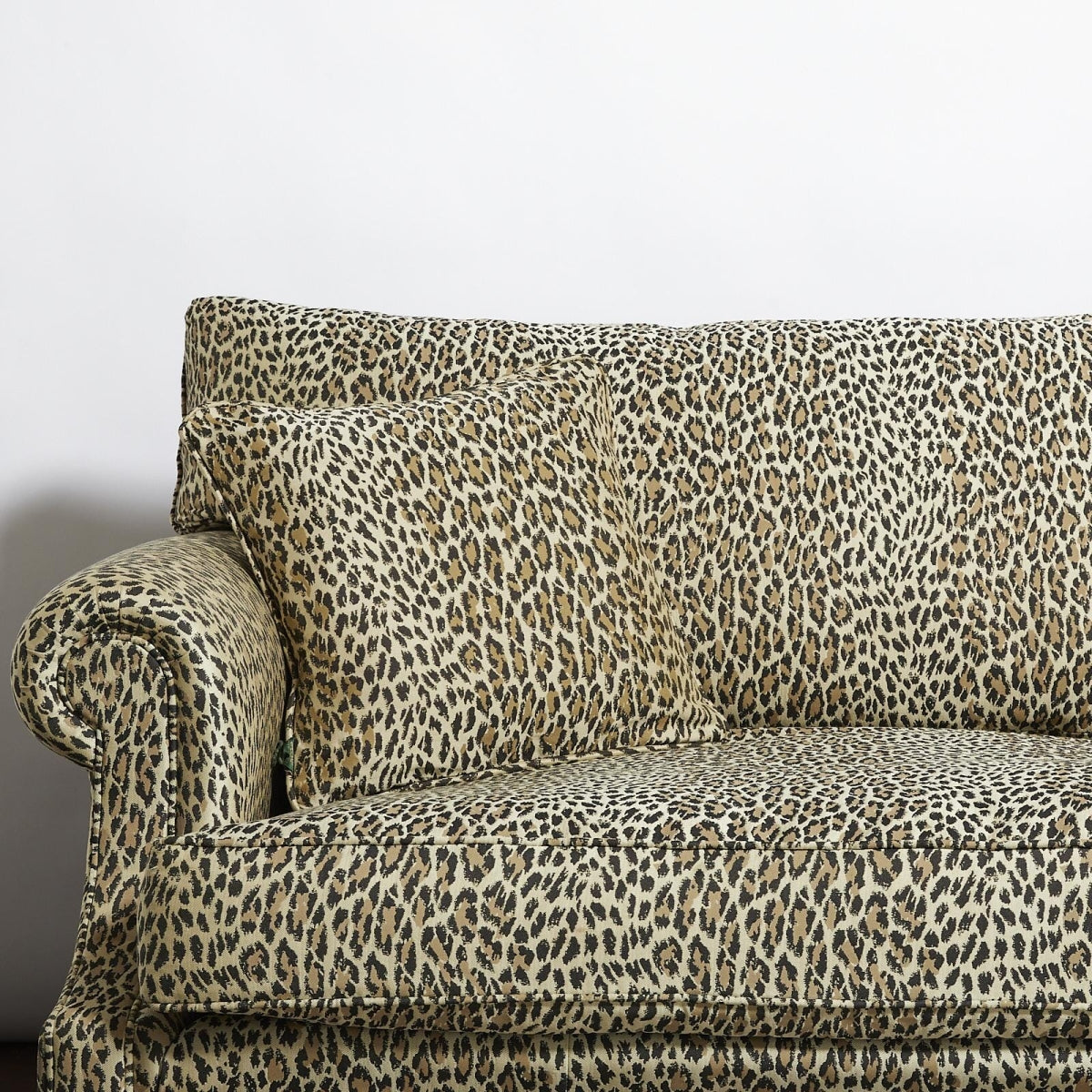 Wild Card Jacquard (Medium)