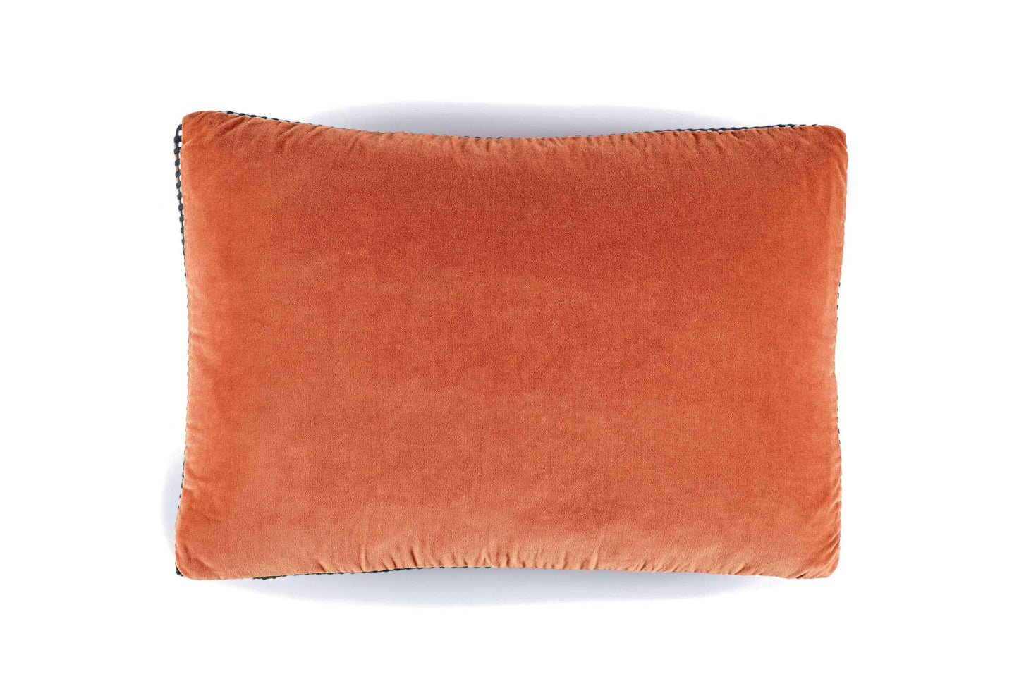 Athena velvet Cushion