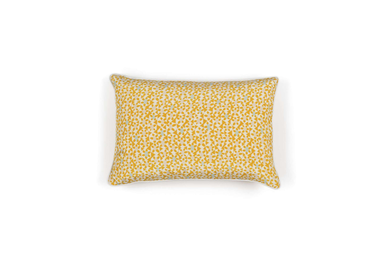 Azteca Cushion | Silk Cushion