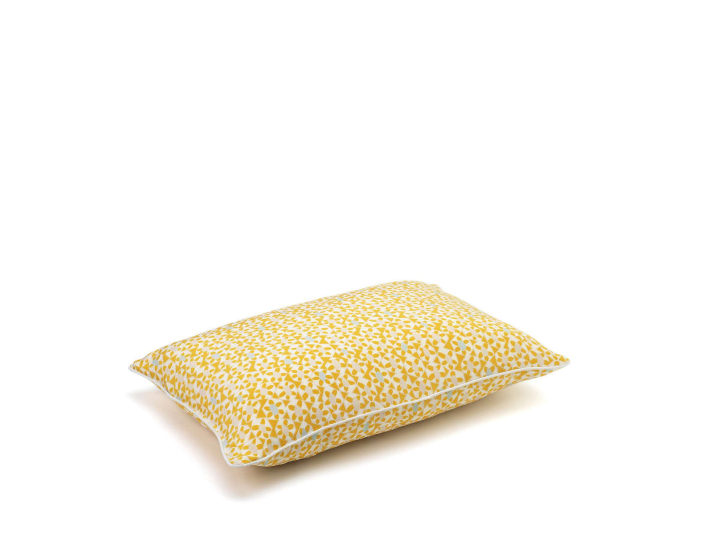 Azteca Cushion | Silk Cushion