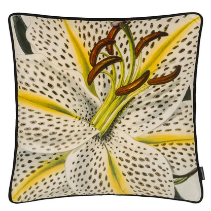 Flowered Craie Velvet Cushion | Botanical Illustration