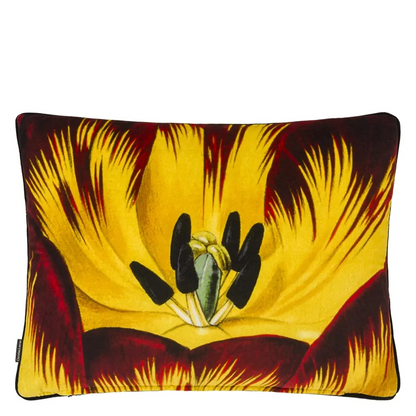 Eclosion Agate Velvet Cushion | Botanical Illustration