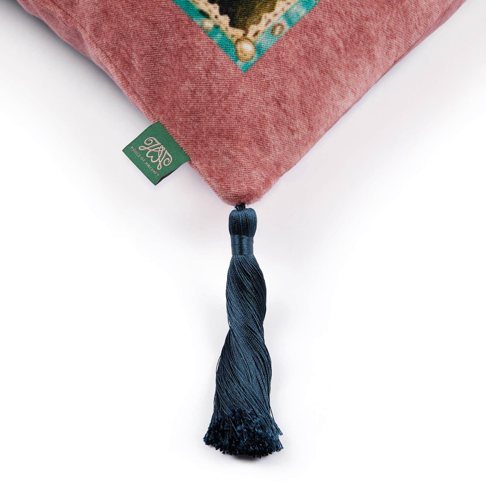 Close-up of a decorative pillow with a tassel and brand tag on a white background