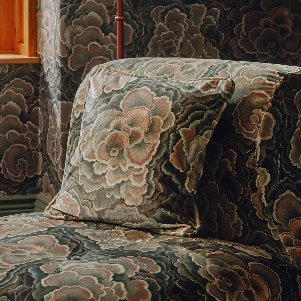 TRAMETES Velvet Piped